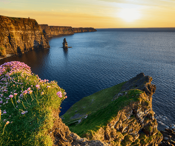 flowers on a clifftop packing tips for traveling to Ireland