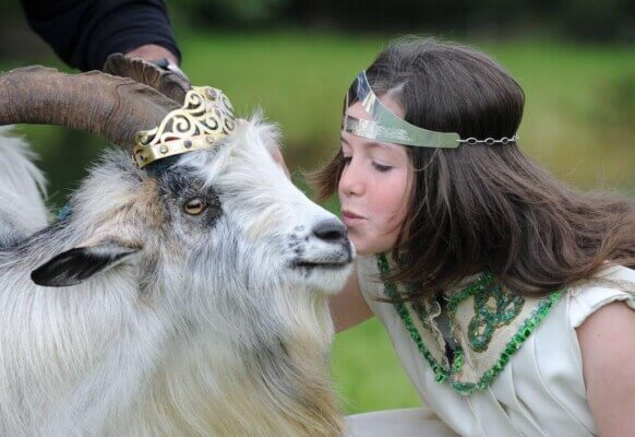 a girl kissing a goat annual festivals in Ireland