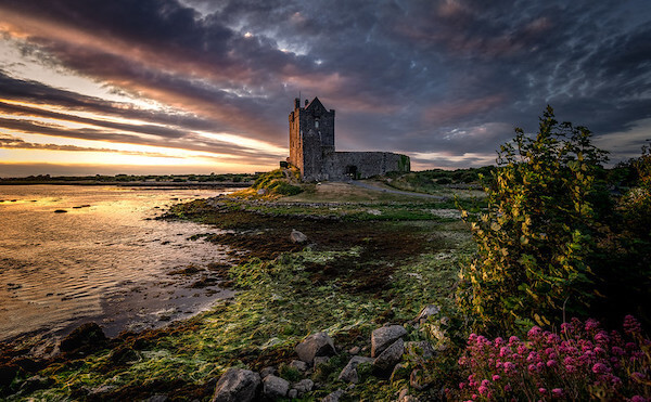 Dunguaire Castle in Co. Galway. Photo: Bernd Thaller,