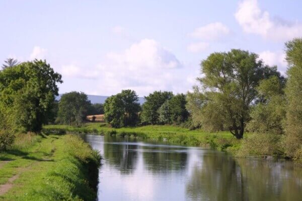 a river County Carlow