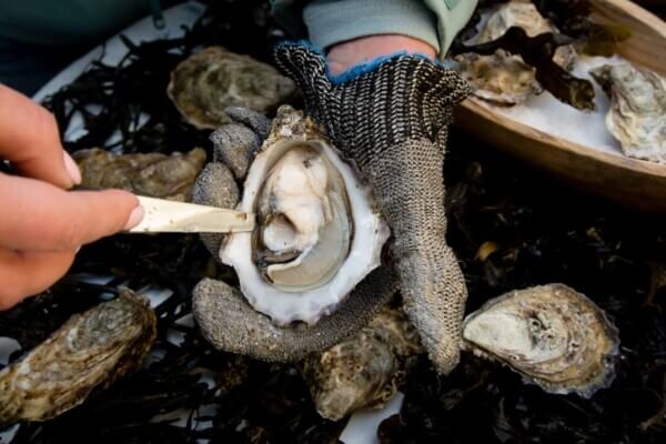 oysters the best food in Ireland
