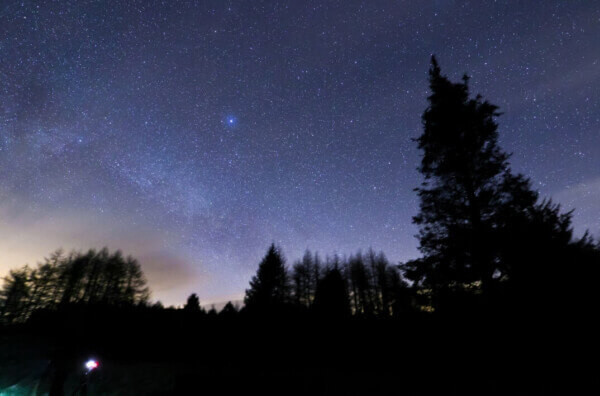 Read more about the article Davagh Forest Dark Sky Park First in Ulster