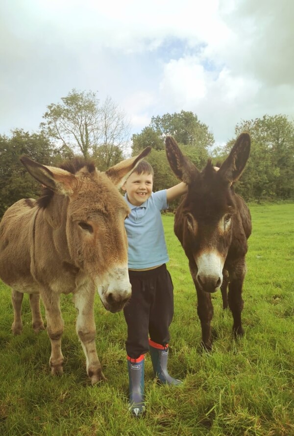 a boy with two donkeys original stone cottage in meath
