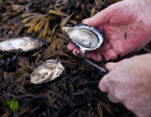 an oyster in a man's hand 6 foodie destinations in Clare