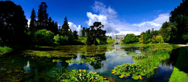 a lake surrounded by trees 9 attractions to see near Dublin