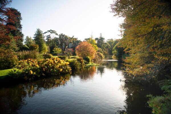 a lake with trees surrounding it 12 of the most beautiful gardens in Ireland