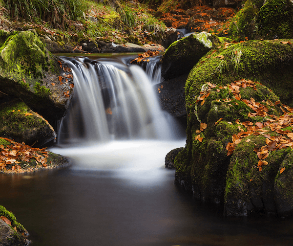 a waterfall fall foliage in Ireland