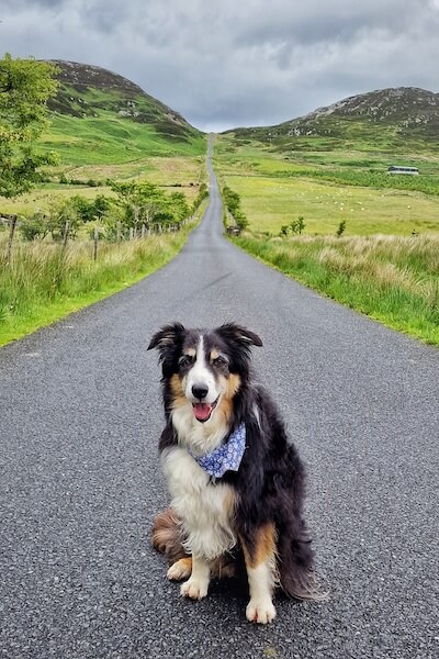 Iggy in the scenic Mamore Gap. Photo: James O'Donnell Photography.