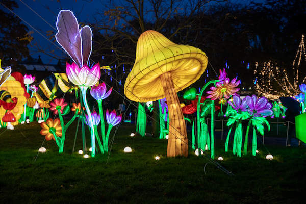 large flowers lit up outside 7 ways to save money in Dublin